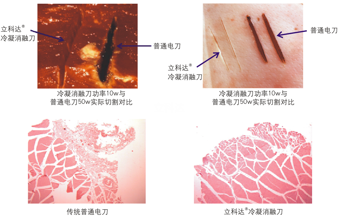 20191021093002177[1].png
